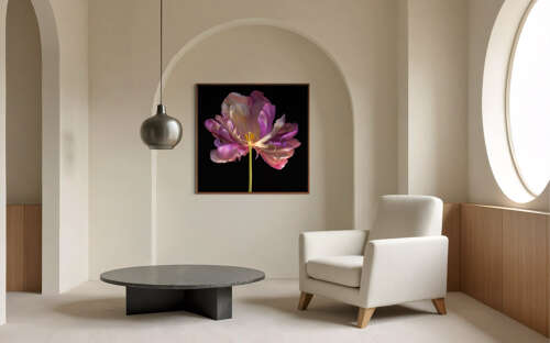 GHOST FLOWER  N°3