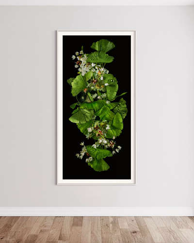 GINKGO BILOBA N°2