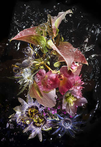 AQUA ODYSSEY N°5.